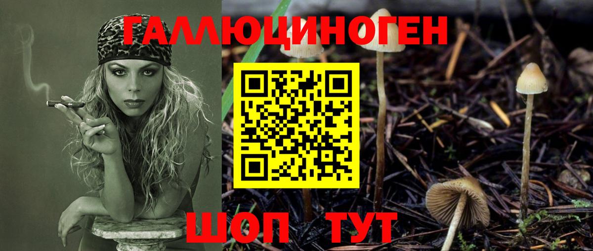 наркота  Псилоцибиновые грибы Magic Shrooms  Вход с VPN  Вичуга 